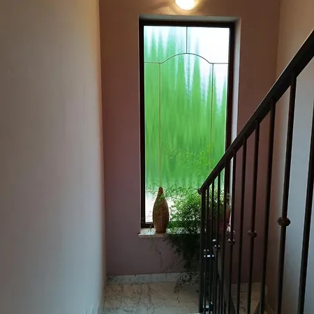 Oasis Near - A House With A Pool, Pet Frendly Holiday home