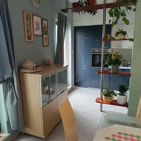 Oasis Near - A House With A Pool, Pet Frendly * Barban